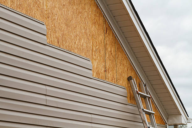 Professional Siding Inspection technician working in Paris, TX